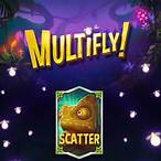 multifly slot
